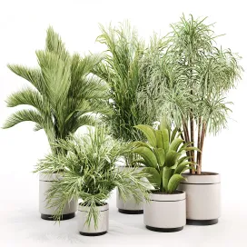 IndoorPlantSet